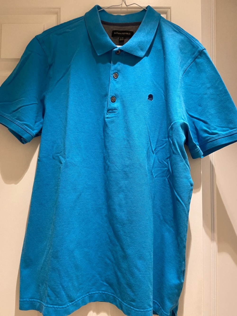 Banana Republic Men’s Turquoise Polo Shirt